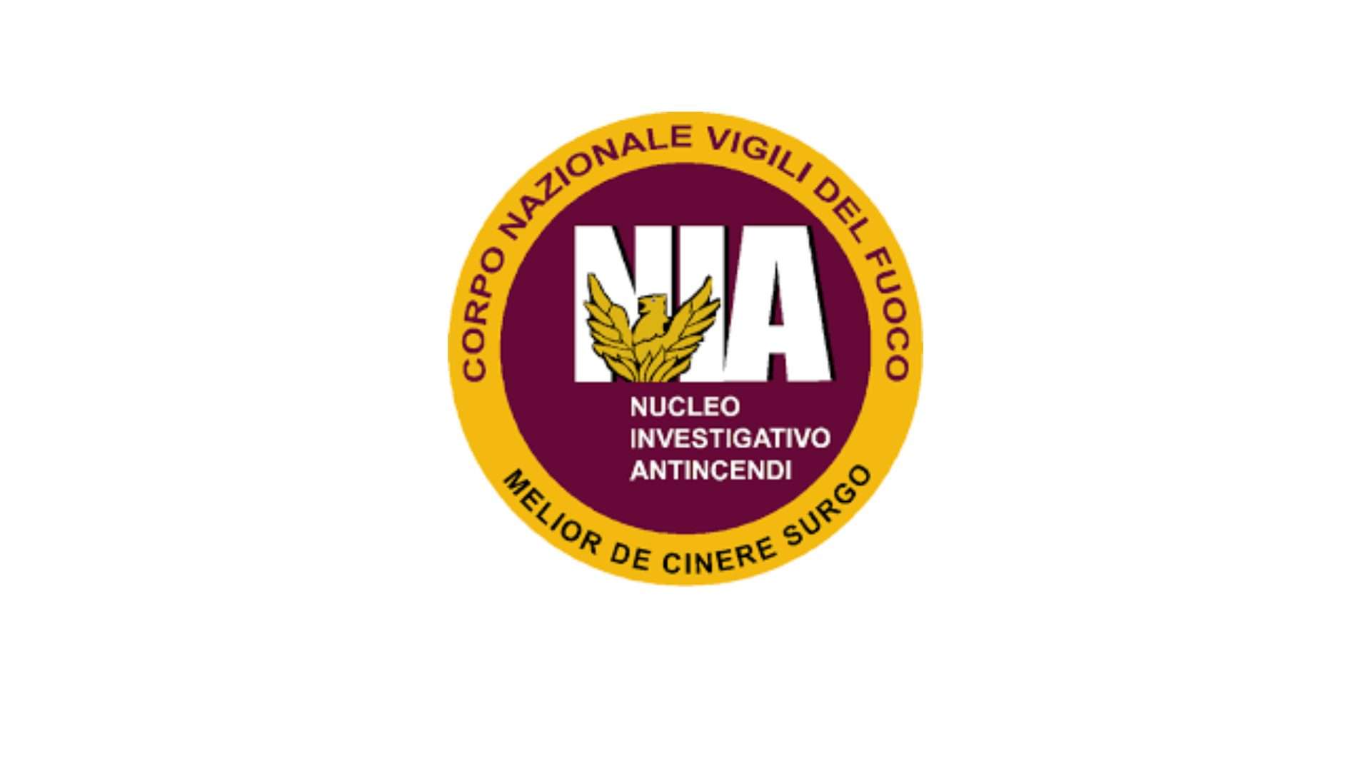 LOGO_NIA